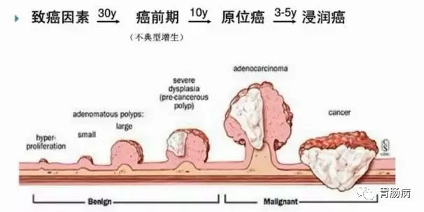 便血鲜红量多